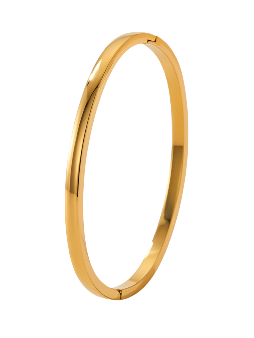 Sandral Bangle Gold & Silver