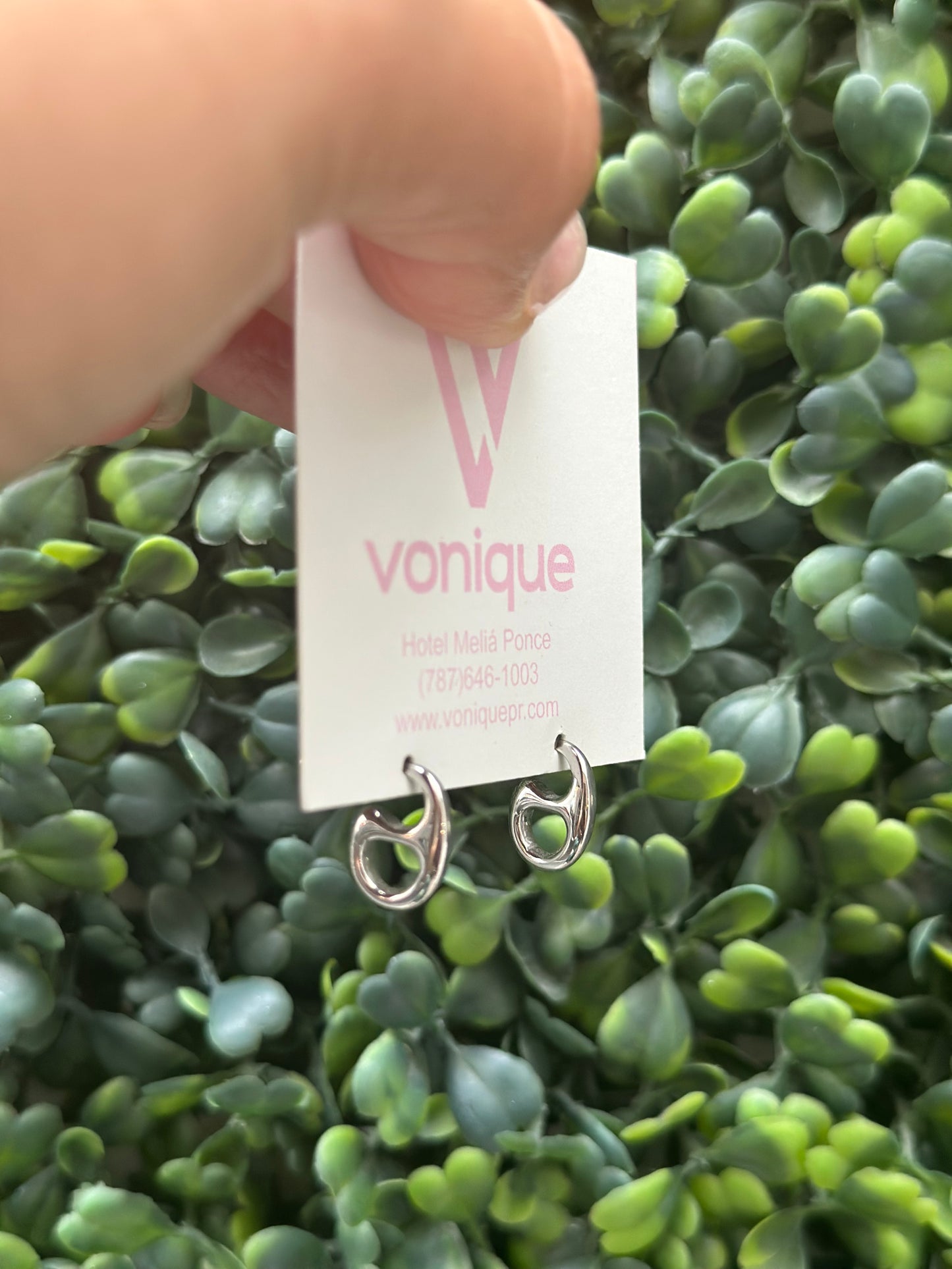 Alejandrina Silver Earrings